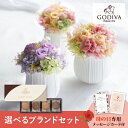 【遅れてごめんね】母の日フラワーギフト アクアレル S(選べるブランドギフトのセット)(母の日 花 スイーツ コーヒー ギフト プレゼント お菓子 鉢植え 花鉢...