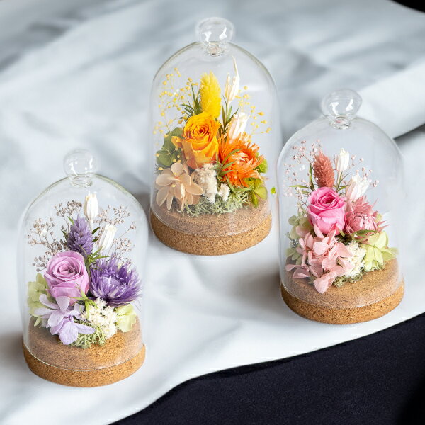 【最短翌日出荷】プリザーブドフラワーギフト ミニョン(花 フラワー ギフト プレゼント 誕生日 花鉢 お..