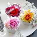【最短翌日出荷】プリザーブドフラワーギフト ボヌール(花 フラワー ギフト プレゼント 誕生日 花鉢 お祝い 御祝い 贈り物 結婚記念日 結婚祝い 退職祝い 記...