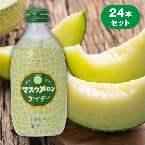 マスクメロンサイダー 24本セット(おこもり 巣ごもり おうち時間 自分買い 炭酸水 炭酸 スパークリング サイダー マスクメロン メロン フルーツ 飲料 24本）