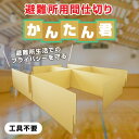 【送料無料】避難用簡易間仕切り かんたん君 10枚入り(おこもり 巣ごもり おうち時間 防災 防災グッズ プライバシー 避難 避難所 冷え防止 プライバシー保護 ダンボール 段ボール 間仕切り 簡易間仕切り 送料無料) 1