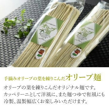 【送料無料】いわきオリーブ麺和風セット母の日2021│グルメ/パスタ 細麺 太麺 無添加 無着色 オリジナル 国産 もちもち 手摘み オリーブの葉 いわき産 オリーブリーフ 人気 ご飯 手軽 ランチ オリーブ麺 和風 ソース 大場 セット 女性