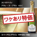 【最短翌日出荷！】【ワケあり】アンバル コント ド バイィ ブランド ブラン セック 750ml（2 ...