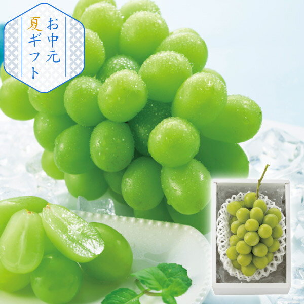 シャインマスカット 1房(お中元 夏ギフトフルーツ 果物 食べ物 グルメ プレゼント 贈り物 お祝い 内祝い 結婚祝い 結婚内祝い 出産内祝い 手土産 お返し お礼 快気祝い 退職祝い 引越祝い 詰合せ 挨拶 人気)