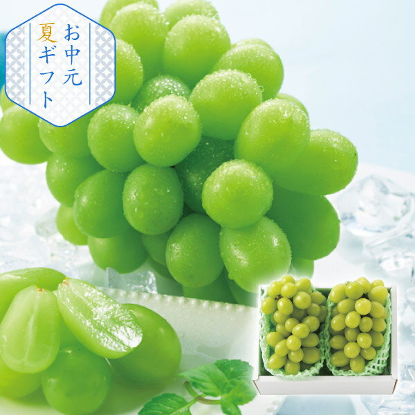 シャインマスカット 2房(お中元 夏ギフトフルーツ 果物 食べ物 グルメ プレゼント 贈り物 お祝い 内祝い 結婚祝い 結婚内祝い 出産内祝い 手土産 お返し お礼 快気祝い 退職祝い 引越祝い 詰合せ 挨拶 人気)