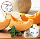 【25年7月上旬から発送・先行予約商品】産地直送│ふらのメロン1玉(夏ギフト お中元 グルメ フルーツ 果物 めろん ギフト プレゼント 贈り物 お祝い 内祝い...