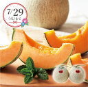 【25年7月上旬から発送・先行予約商品】産地直送│ふらのメロン2玉(夏ギフト お中元 グルメ フルーツ 果物 めろん ギフト プレゼント 贈り物 お祝い 内祝い...