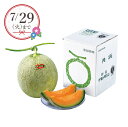 【25年7月上旬から発送・先行予約商品】産地直送│夕張メロン1玉(夏ギフト お中元 グルメ フルーツ 果物 めろん ギフト プレゼント 贈り物 お祝い 内祝い ...