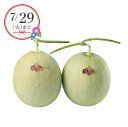 【25年7月上旬から発送・先行予約商品】産地直送│夕張メロン2玉(夏ギフト お中元 グルメ フルーツ 果物 めろん ギフト プレゼント 贈り物 お祝い 内祝い 結婚祝い 結婚内祝い 出産内祝い 手土産 お返し お礼 退職祝い 引越祝い 詰合せ 挨拶 話題 人気 おすすめ)