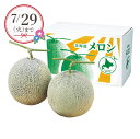 【25年7月上旬から発送・先行予約商品】産地直送│北海道赤肉メロン2玉(夏ギフト お中元 グルメ フルーツ 果物 めろん ギフト プレゼント 贈り物 お祝い 内...