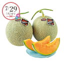 【25年7月上旬から発送・先行予約商品】産地直送│北海道キングメロン2玉(夏ギフト お中元 グルメ フルーツ 果物 めろん ギフト プレゼント 贈り物 お祝い ...