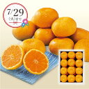 【25年7月上旬から発送・先行予約商品】産地直送│佐賀 温室みかん(夏ギフト お中元 グルメ フルーツ 果物 ギフト プレゼント 贈り物 お祝い 内祝い 結婚祝...