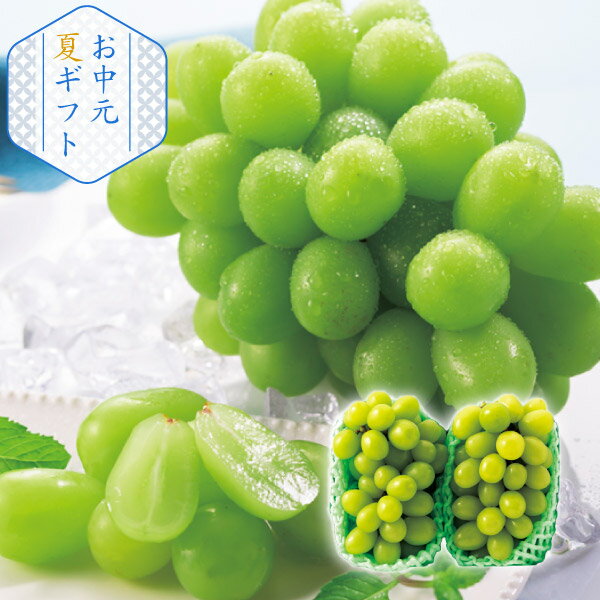 【25年7月上旬から発送・先行予約商品】産地直送│シャインマスカット 2房(夏ギフト お中元 グルメ フルーツ 果物 ギフト プレゼント 贈り物 お祝い 内祝い 結婚祝い 結婚内祝い 出産内祝い 手土産 お返し お礼 退職祝い 引越祝い 詰合せ 挨拶 話題 人気 おすすめ)
