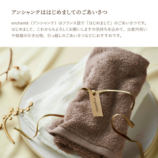 アンシャンテオーガニック オーガニックコットン フェイスタオル2P（アイスグリーン）(タオル 日用品 新生活 ギフト プレゼント 贈り物 お祝い 内祝い 新築祝い 春ギフト)