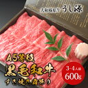 大和榛原牛すき焼き霜降りモモ肉(シート巻)600g(グルメ ステーキ肉 プレゼント ギフト うし源 肉類 牛肉 ビーフ 食べ物 食品 高級肉 黒毛和牛 A5ラン...