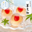 京都 養老軒 山形県産さくらんぼのゼリー(8個)(秋ギフト 敬老の日 ギフト 詰め合わせ フルーツ ゼリー 御中元 和菓子 ギフト プレゼント 贈り物 内祝い お礼 御礼 お祝い 御祝い お返し 土産 菓子折り 贈答品 詰め合わせ お取り寄せ おしゃれ かわいい)