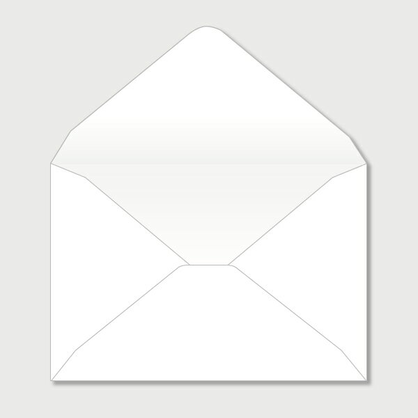 30日限定ポイント最大10倍★封筒 レギュラー【10名様分入り】(結婚式 ペーパーアイテム 手作りキット テンプレート ウェディング ブライダル パーティー 二...