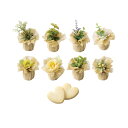 プチギフトグリーンドーム 1個(プチギフト 退職 お菓子 お礼 お返し 歓送迎会 異動 転職 産休 結婚式 二次会 ウェディング 披露宴 P★パーティ ノベル...