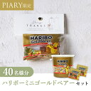 プチギフト【送料無料】プチギフト ラッピングキット ハリボーセット ニュアンセススクエア(クランクイン) 40名様分(プチギフト 退職 お菓子 DIYセットお礼 お返し 歓送迎会 結婚式 二次会 披露宴 P★パーティ 景品 大量 個包装 ありがとう★退職)