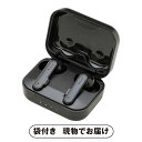 【ビS】たのしいかいしゃ TWS Bluetoothイヤホン(ブラック)(景品 二次会 披露宴 結婚式 余興 忘年会 新年会 抽選会 社内イベント 運動会 ゴルフ コンペ ビンゴ クイズ 幹事 目録 パネル 生活家電 盛り上がる 人気 話題 おすすめ)