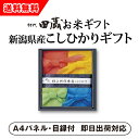 【あす楽対応可】ビM初代田蔵 新潟の極み 特選新潟県産こしひかりギフト(4個入)【パネル・目録付】(景品 二次会 コンペ 新年会 忘年会 結婚式二次会 ゴルフ イベント 参加賞 抽選会 ビンゴ 粗品 賞品)