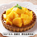 銀座千疋屋 銀座タルト(マンゴー)【パネル・目録付】
