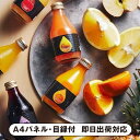 銀座千疋屋 銀座ストレートジュース10本【パネル・目録付】