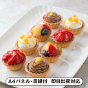 30日限定ポイント最大10倍★銀座千疋屋 銀座プチフルーツタルト【パネル・目録付】