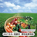 楽天PIARY（ピアリー）楽天市場店【あす楽対応可】千葉県産 旬の有機野菜セット【パネル・目録付】