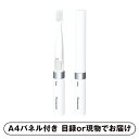 30日限定ポイント最大10倍★【ビS】音波振動ハブラシ ポケットドルツ【パネル・目録付】(景品 二次会 披露宴 結婚式 余興 忘年会 新年会 抽選会 社内イベン...