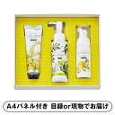 15日限定ポイント最大10倍★【ビS】ミアミモザ ハンドクリーム&ハンドクリーンジェル&ハンドソープ【パネル・目録付】(景品 二次会 披露宴 結婚式 余興 忘年会 新年会 抽選会 社内イベント 運動会 ゴルフ コンペ ビンゴ クイズ 幹事 目録 パネル 生活家電 美容 健康