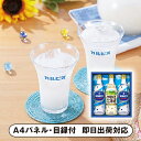 カルピスギフトB【パネル・目録付】(景品 二次会 披露宴 結婚式 余興 忘年会 新年会 抽選会 社内イベント 運動会 ゴルフ コンペ ビンゴ クイズ 幹事 目録 パネル ドリンク カフェセット 盛り上がる 人気 話題 おすすめ)