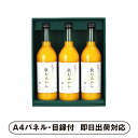早和果樹園 有田みかんジュース「飲むみかん」3本セット【パネル・目録付】(景品 二次会 披露宴 結婚式 余興 忘年会 新年会 抽選会 社内イベント 運動会 ゴルフ コンペ ビンゴ クイズ 幹事 目録 パネル ドリンク カフェセット 盛り上がる 人気 話題 おすすめ)
