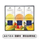 帝国ホテル スープセットA【パネル・目録付】(景品 二次会 披露宴 結婚式 余興 忘年会 新年会 抽選会 社内イベント 運動会 ゴルフ コンペ ビンゴ クイズ 幹事 目録 パネル 食品 調味料 盛り上がる 人気 話題 おすすめ)