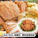 【送料無料】北海道産ボイル毛がに2尾A【パネル・目録付】(景品 二次会 披露宴 結婚式 余興 忘年会 新年会 抽選会 社内イベント 運動会 ゴルフ コンペ ビンゴ クイズ 幹事 目録 パネル 食品 調味料 盛り上がる 人気 話題 おすすめ)