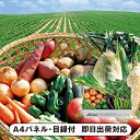 千葉県産 旬の有機野菜セット【パネル・目録付】(景品 二次会 披露宴 結婚式 余興 忘年会 新年会 抽選会 社内イベント 運動会 ゴルフ コンペ ビンゴ クイズ 幹事 目録 パネル 食品 調味料 盛り上がる 人気 話題 おすすめ)