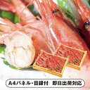 【送料無料】日本海 甘エビ【パネル・目録付】(景品 二次会 披露宴 結...(3)