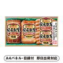 伊藤ハム 伝承献呈ギフトセットA【パネル・目録付】(景品 二次会 披露宴 結婚式 余興 忘年会 新年会 抽選会 社内イベント 運動会 ゴルフ コンペ ビンゴ クイズ 幹事 目録 パネル 絶品産地直送グルメ 食品 調味料 盛り上がる 人気 話題 おすすめ)