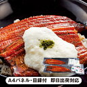 【送料無料】浅草むぎとろ うなとろセット【パネル・目録付】(景品 二次会 披露宴 結婚式 余興 忘年会 新年会 抽選会 社内イベント 運動会 ゴルフ コンペ ビ...
