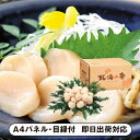 北海道産 お刺身用ほたて貝柱500g【パネル・目録付】(景品 二次会 披露宴 結婚式 余興 忘年会 新年会 抽選会 社内イベント 運動会 ゴルフ コンペ ビンゴ クイズ 幹事 目録 パネル 絶品産地直送グルメ 食品 調味料 盛り上がる 人気 話題 おすすめ)