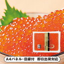 北海道産いくら醤油漬250g【パネル・目録付】(景品 二次会 披露宴 結婚式 余興 忘年会 新年会 抽選会 社内イベント 運動会 ゴルフ コンペ ビンゴ クイズ 幹事 目録 パネル 絶品産地直送グルメ 食品 調味料 盛り上がる 人気 話題 おすすめ)