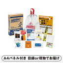 【紙S】非常持出11点セット【パネル・目録付】(景品 二次会 披露宴 結婚式 余興 忘年会 新年会 抽選会 社内イベント 運動会 ゴルフ コンペ ビンゴ クイズ...