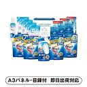 花王アタック抗菌EX 洗剤バラエティセットF【パネル・目録付】(景品 二次会 披露宴 結婚式 余興 忘年会 新年会 抽選会 社内イベント 運動会 ゴルフ コンペ ビンゴ クイズ 幹事 目録 パネル 生活日用品 盛り上がる 人気 話題 おすすめ)