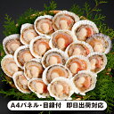 北海道産ほたて片貝(20枚)【パネル・目録付】(景品 二次会 披露宴 結婚式 余興 忘年会 新年会 抽選会 社内イベント 運動会 ゴルフ コンペ ビンゴ クイズ 幹事 目録 パネル 食品 調味料 盛り上がる 人気 話題 おすすめ)