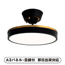 30日限定ポイント最大10倍★【送料無料】ディクラッセ LED ジョルノ シーリング/ペンダントランプ ブラック【パネル・目録付】(景品 二次会 披露宴 結婚式...