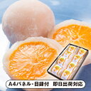 新杵堂 まるごとみかん大福 8個入【パネル・目録付】(和菓子 スイーツ お菓子 披露宴 二次会 2次会 景品 コンペ 忘年会 新年会 結婚式二次会 ゴルフ イベント 抽選会 ビンゴ 賞品 パネル付 目録 人気 おすすめ)