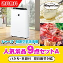 20日限定ポイント最大10倍★【あす楽対応可】「シャープ加湿空気清浄機」が目玉の人気景品9点セットA(二次会 景品 コンペ 新年会 忘年会 結婚式二次会 ゴルフ...