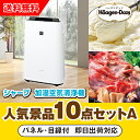 20日限定ポイント最大10倍★【あす楽対応可】「シャープ加湿空気清浄機」が目玉の人気景品10点セットA(二次会 景品 コンペ 新年会 忘年会 結婚式二次会 ゴル...