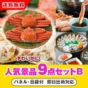 【あす楽対応可】「ボイルずわいがに姿2尾」が目玉の人気景品9点セットB(二次会 景品 コンペ 新年会 忘年会 結婚式二次会 ゴルフ イベント 参加賞 抽選会 ビ...