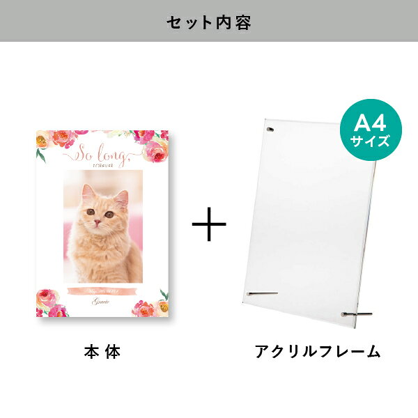 ペット 位牌 フォトメモリアルボード（ウォーターフラワー コーラルピンク） A4サ...